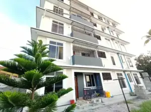 APARTMENT NZURI, VYUMBA 2, KIMARA MWISHO