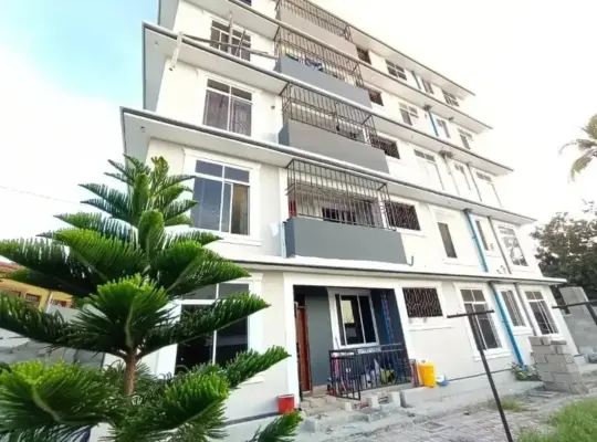 APARTMENT NZURI, VYUMBA 2, KIMARA MWISHO