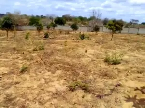 2.2 ACRES SURVEYED LAND, KWALA DRY PORT