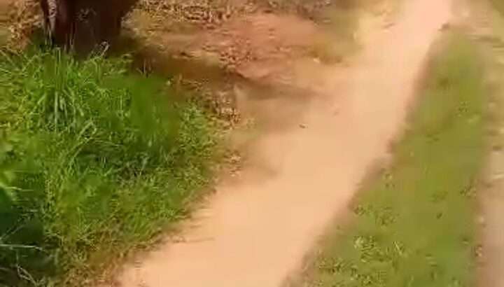 KIWANJA SQM.1800, KIBAHA MISUFINI.