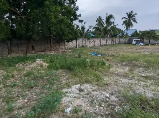 YARD. SQM 1995 TSHS.300 MILIONI, MTONI KIJICHI.