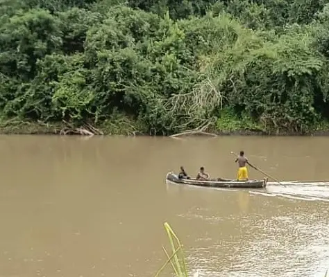 184 ACRES SURVEYED FARM BY THE WAMI RIVER,BAGAMO