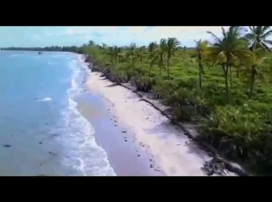 24 ACRES SERENE BEACHLAND AT MKWAJA, TANGA, TNZ.