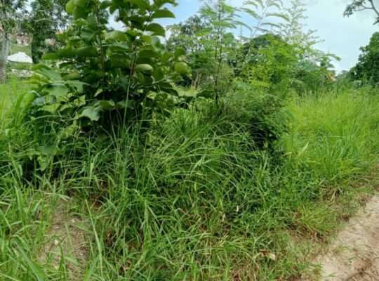 100 ACRES ON MSATA/BAGAMOYO ROAD
