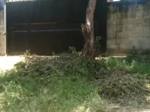 KIWANJA, UKUBWA EKARI 1,SALASALA KANISA KATOLIKI