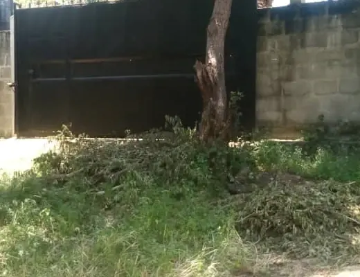 KIWANJA, UKUBWA EKARI 1,SALASALA KANISA KATOLIKI