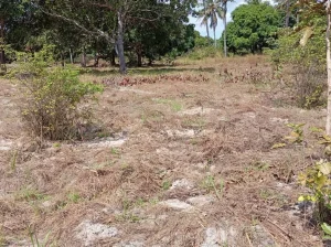 27 ACRES UNSURVEYED LAND AT VISIGA-MADAFU/KIBAHA