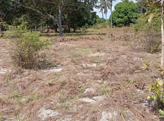 27 ACRES UNSURVEYED LAND AT VISIGA-MADAFU/KIBAHA