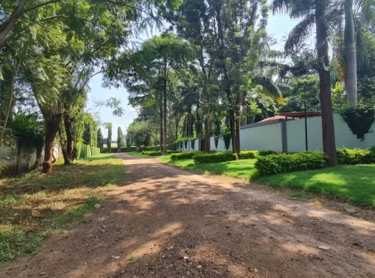 10 BDRMS PRIME HOUSE, TSHS.530 MIL. AT SHANTY TO