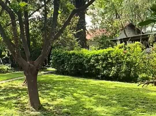 3.8 ACRES COZY PRIME HOME, $780,000 IN ARUSHA.