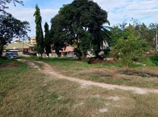 KIWANJA SQM.4000, TSHS.300 MILIONI, MBEZI-MWISHO