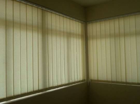 WINDOW BLINDS