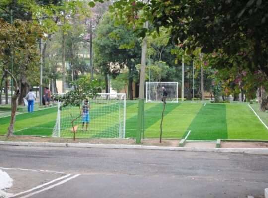 Artificial Turf for Landscaping and Sports