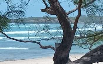 Beach plot in Dege kigamboni