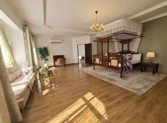 7 BDRM STYLISH HOME AT NJIRO, ARUSHA