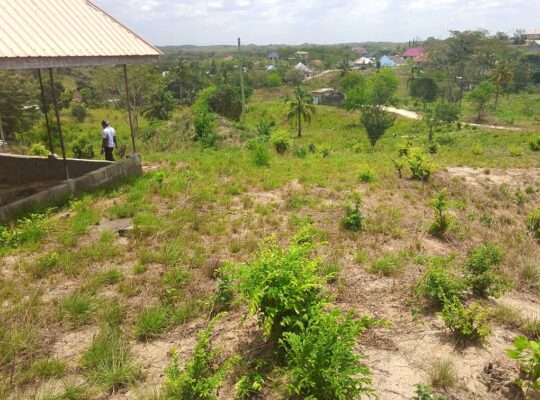 KIWANJA SQM.1,500, KINAUZWA NA BANK,LUGULUNI.