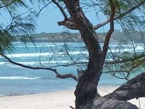 Beach plot in Dege kigamboni