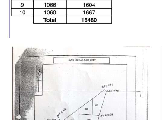 10 2ND-BEACH PLOTS , TSHS.80,000/SQM AT KIBUGUMO