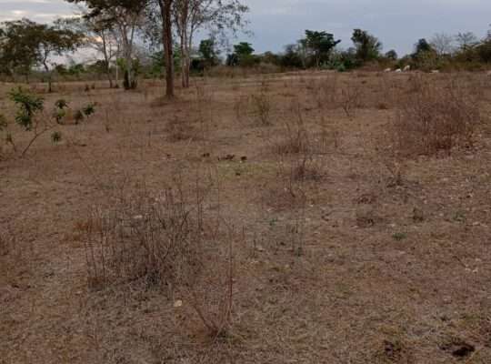 40 ACRES INDUSTRIAL LAND, BAGAMOYO/MSATA ROAD