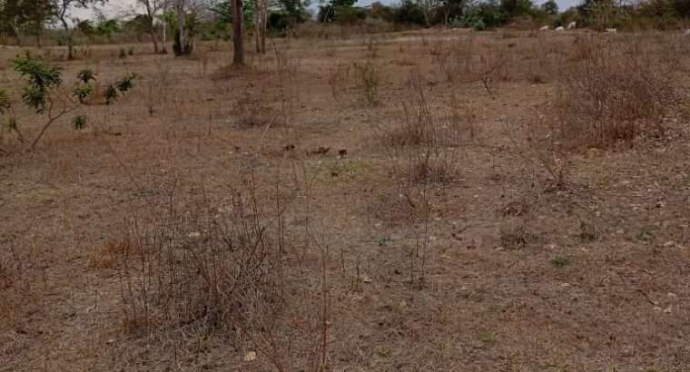 40 ACRES INDUSTRIAL LAND, BAGAMOYO/MSATA ROAD