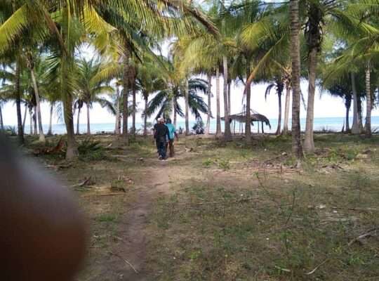 40 ACRES PRISTINE-IDYLLIC BEACH LAND AT SAADANI.