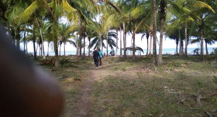 40 ACRES PRISTINE-IDYLLIC BEACH LAND AT SAADANI.