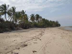 40 ACRES PRISTINE-IDYLLIC BEACH LAND AT SAADANI.