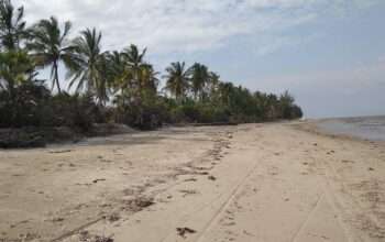 40 ACRES PRISTINE-IDYLLIC BEACH LAND AT SAADANI.