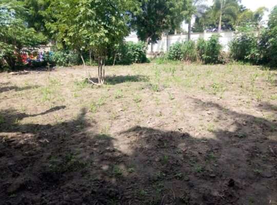 KIWANJA SQM 800, TSHS.145 MIL. UKONGA STAKISHARI