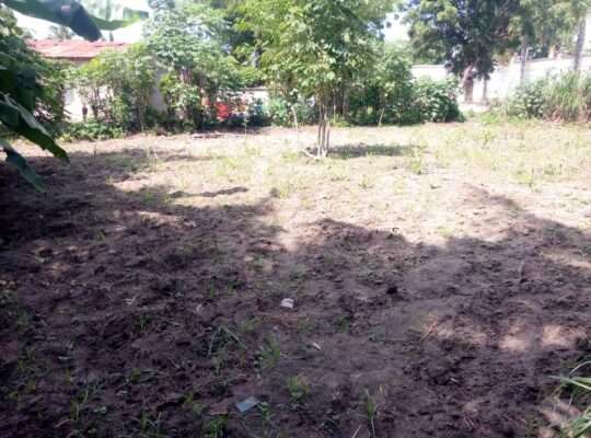 2,000 SQM. BEACH PLOT, $400,000 AT PAJE,ZANZIBAR