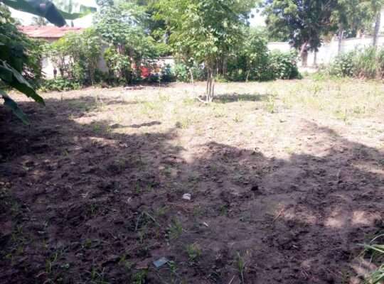 KIWANJA SQM 800, TSHS.145 MIL. UKONGA STAKISHARI