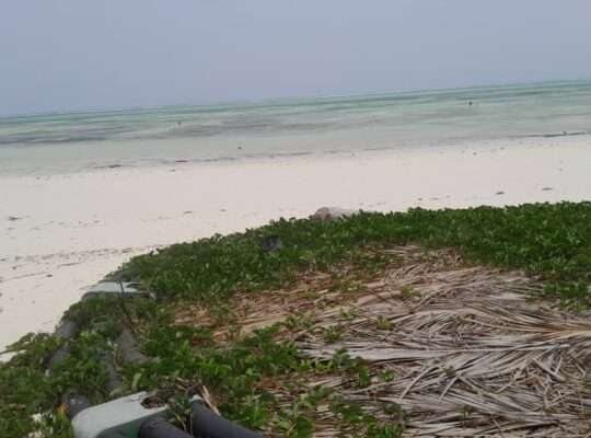 2,000 SQM. BEACH PLOT, $400,000 AT PAJE,ZANZIBAR