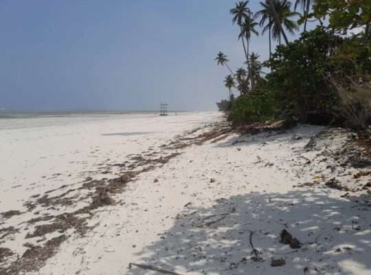 2,000 SQM. BEACH PLOT, $400,000 AT PAJE,ZANZIBAR