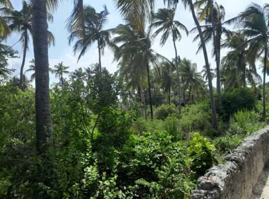 2,000 SQM. BEACH PLOT, $400,000 AT PAJE,ZANZIBAR