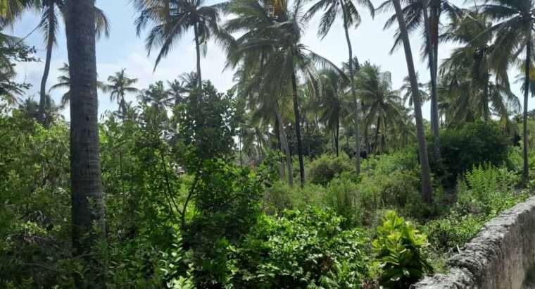 2,000 SQM. BEACH PLOT, $400,000 AT PAJE,ZANZIBAR