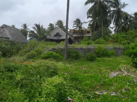 2,000 SQM. BEACH PLOT, $400,000 AT PAJE,ZANZIBAR