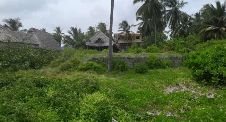 2,000 SQM. BEACH PLOT, $400,000 AT PAJE,ZANZIBAR