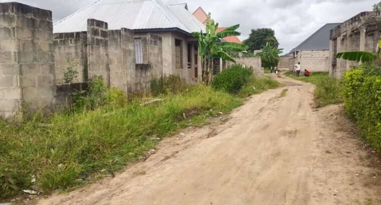 PAGALE INAUZA BANK, UDINDIVU, MAPINGA BAGAMOYO.