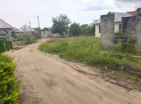 PAGALE INAUZA BANK, UDINDIVU, MAPINGA BAGAMOYO.