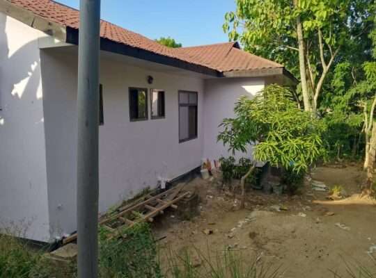 NYUMBA INAUZWA NA BANK, TSHS.40 MILIONI, KIBAMBA
