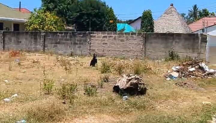 KIWANJA SQM.851 SQM.TSHS.140 MILIONI, TEGETA.