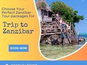 Best Day Tours In Zanzibar