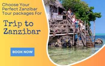 Best Day Tours In Zanzibar