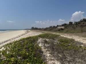 9.5 ACRES BEACHLAND, $1.5 M. AT MBUTU KIGAMBONI