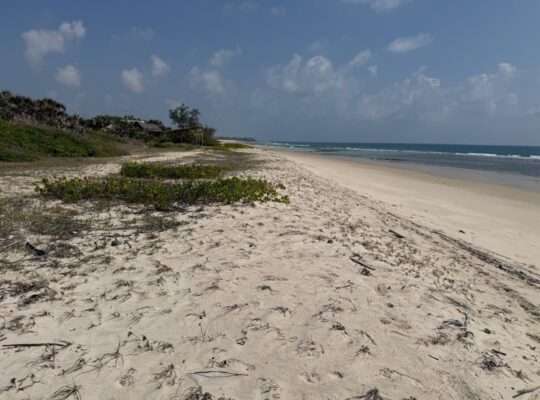 9.5 ACRES BEACHLAND, $1.5 M. AT MBUTU KIGAMBONI