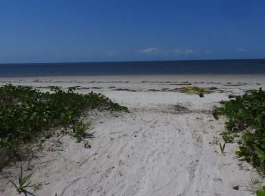 4 ACRES BEACH PLOT AT PANGANI