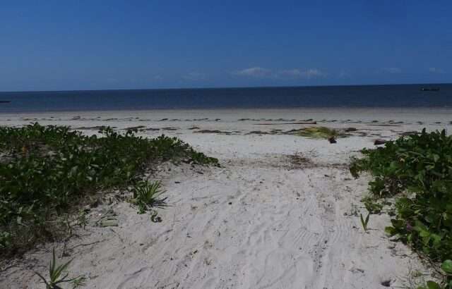 4 ACRES BEACH PLOT AT PANGANI