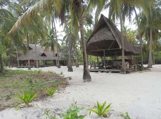 4 ACRES BEACH PLOT AT PANGANI