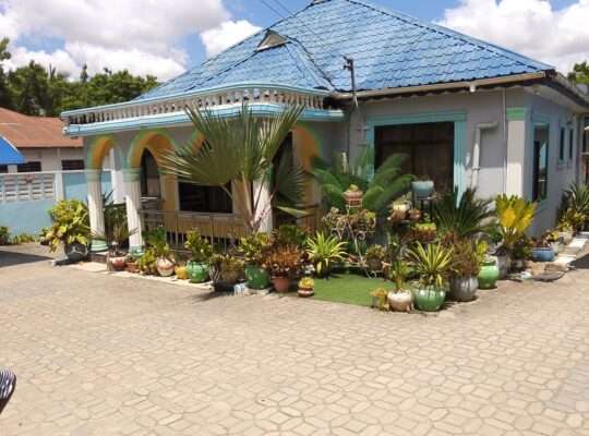 NYUMBA YENYE HATI INAUZWA NA BANK, MSIGANI/TEMBO