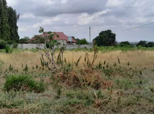 KIWANJA CHENYE HATI, SQM.1,091, TOANGOMA